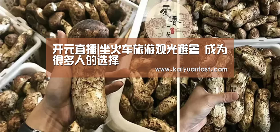 开元直播|坐火车旅游观光避暑 成为很多人的选择
