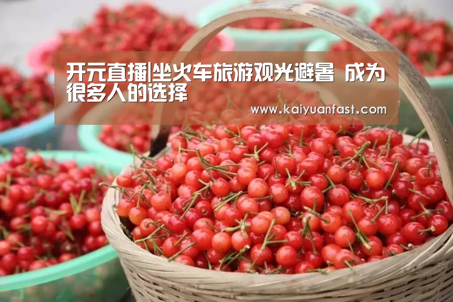 开元直播|坐火车旅游观光避暑 成为很多人的选择(图2) 开元直播